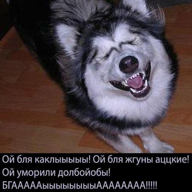Labudinets Labudintsev