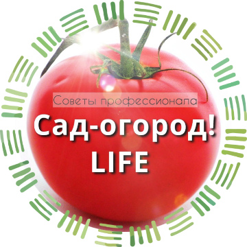 Сад-огород life