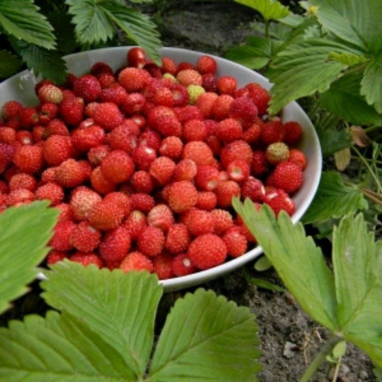 Красоты природы